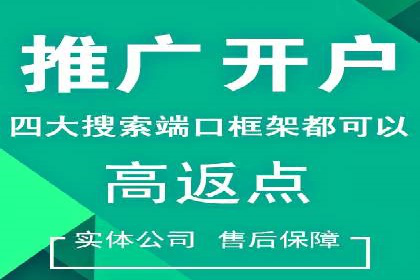 SEM优化策略案例分析